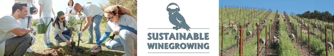 Sustainable Winegrowing - on the go!