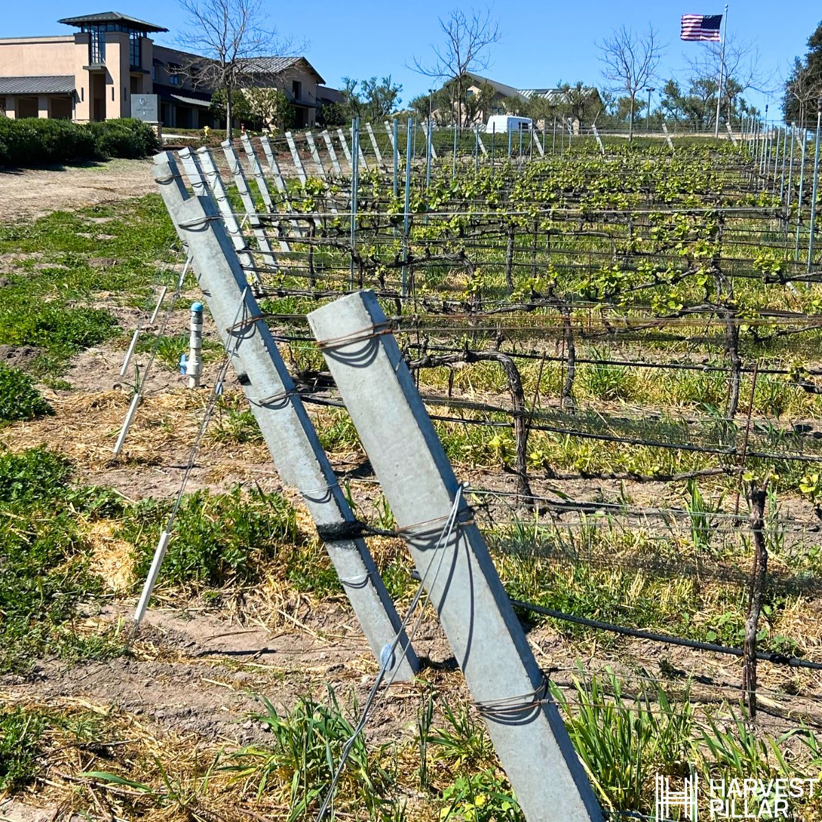 Harvest Pillar by Jensen Precast