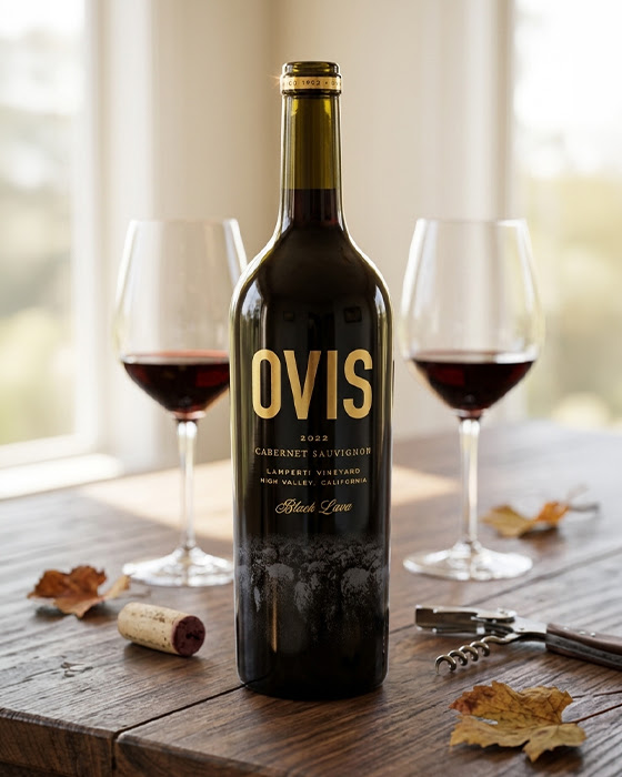 Monvera Glass Decoration