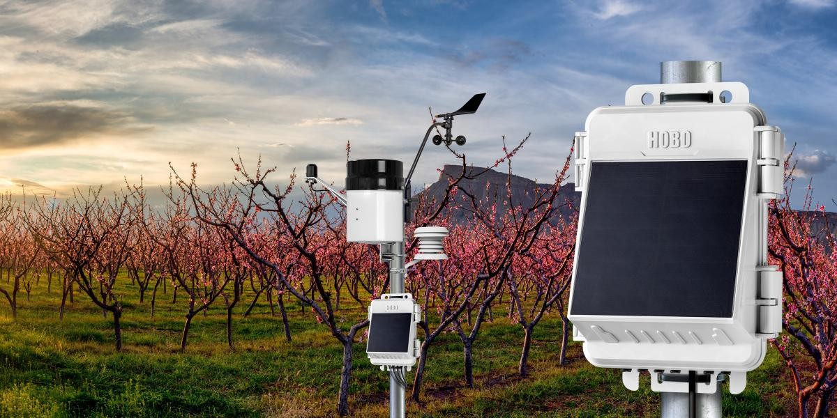 Improve Spray Timing and Reduce Risk with NEWA and Weather Data