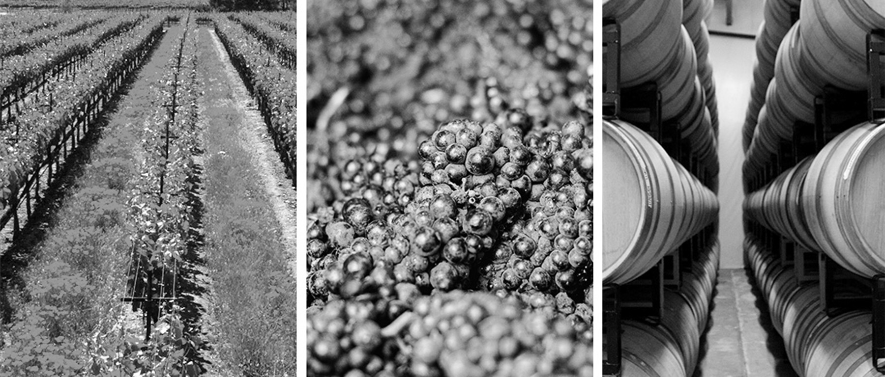 Gravity Wine House