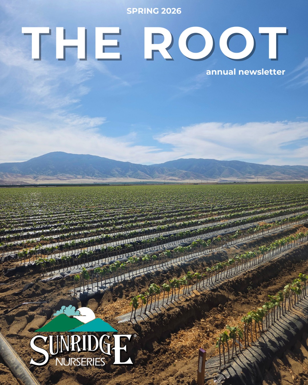 The Root - Annual Newsletter Is Here