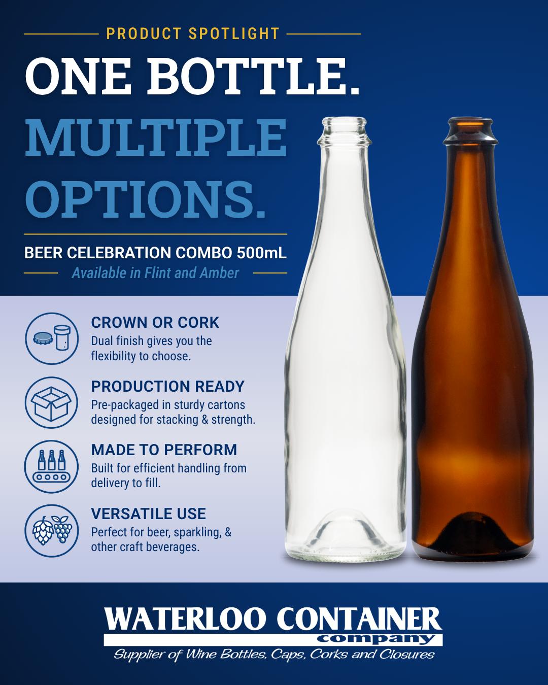 Beer Celebration Combo 500mL