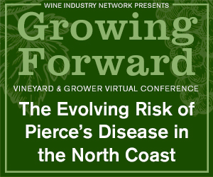 Growing Forward: The Evolving Risk of Pierce’s Disease in the North Coast