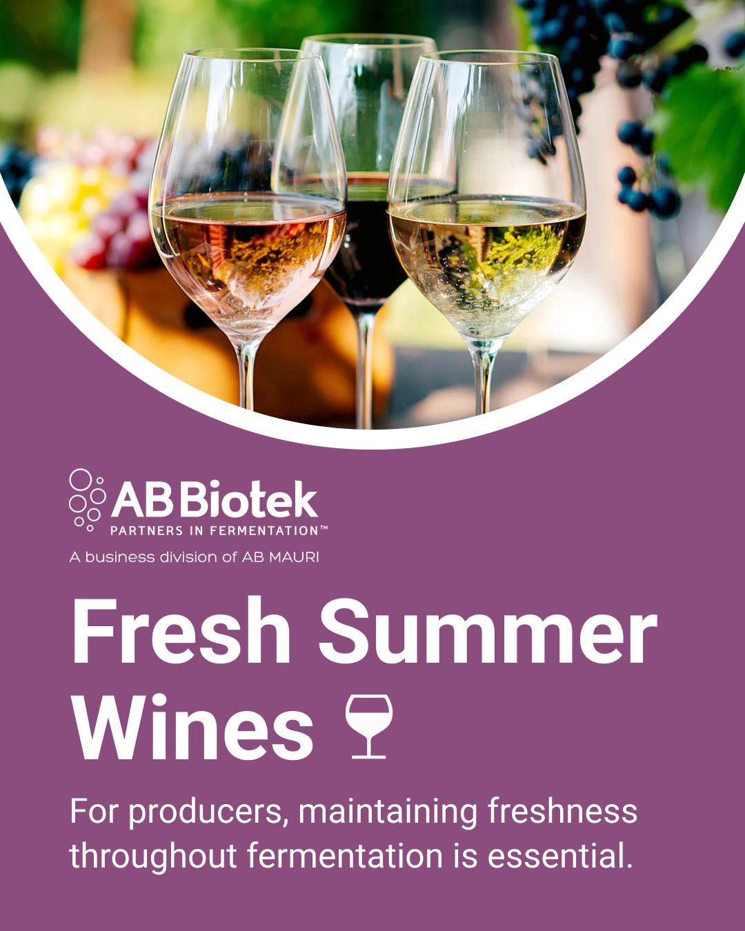 AB Biotek