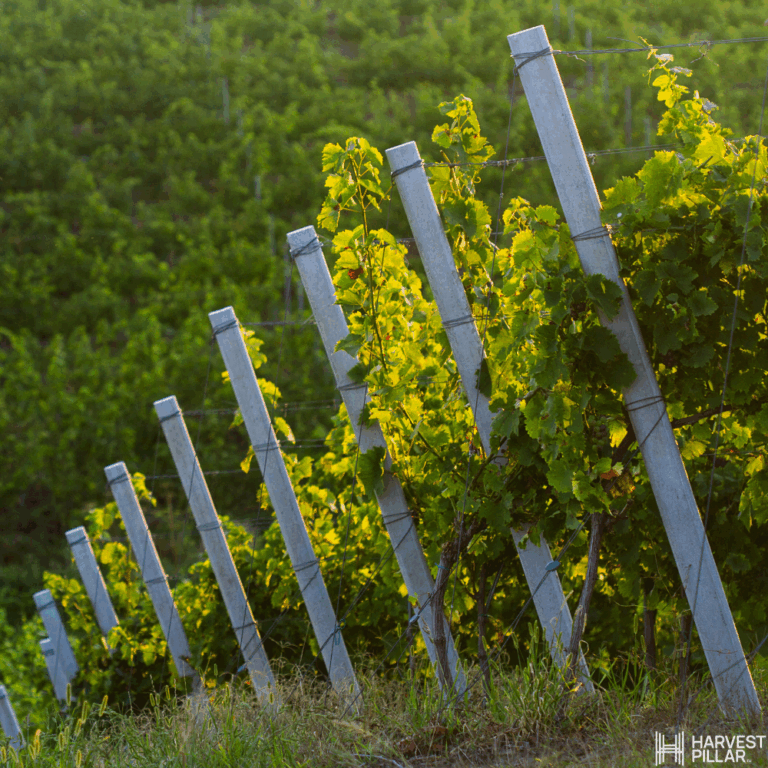 Harvest Pillar by Jensen Precast