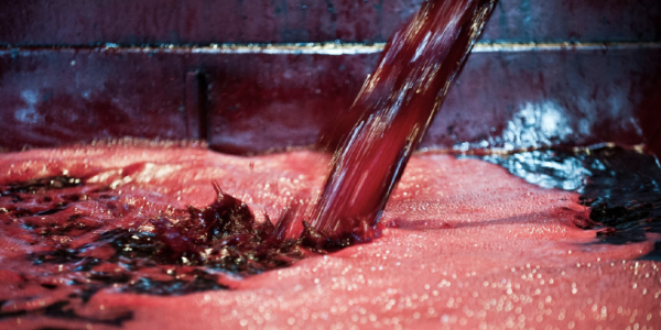 Wine Industry Advisor