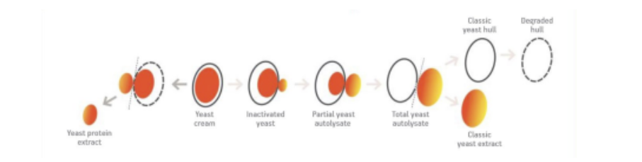 Fermentis