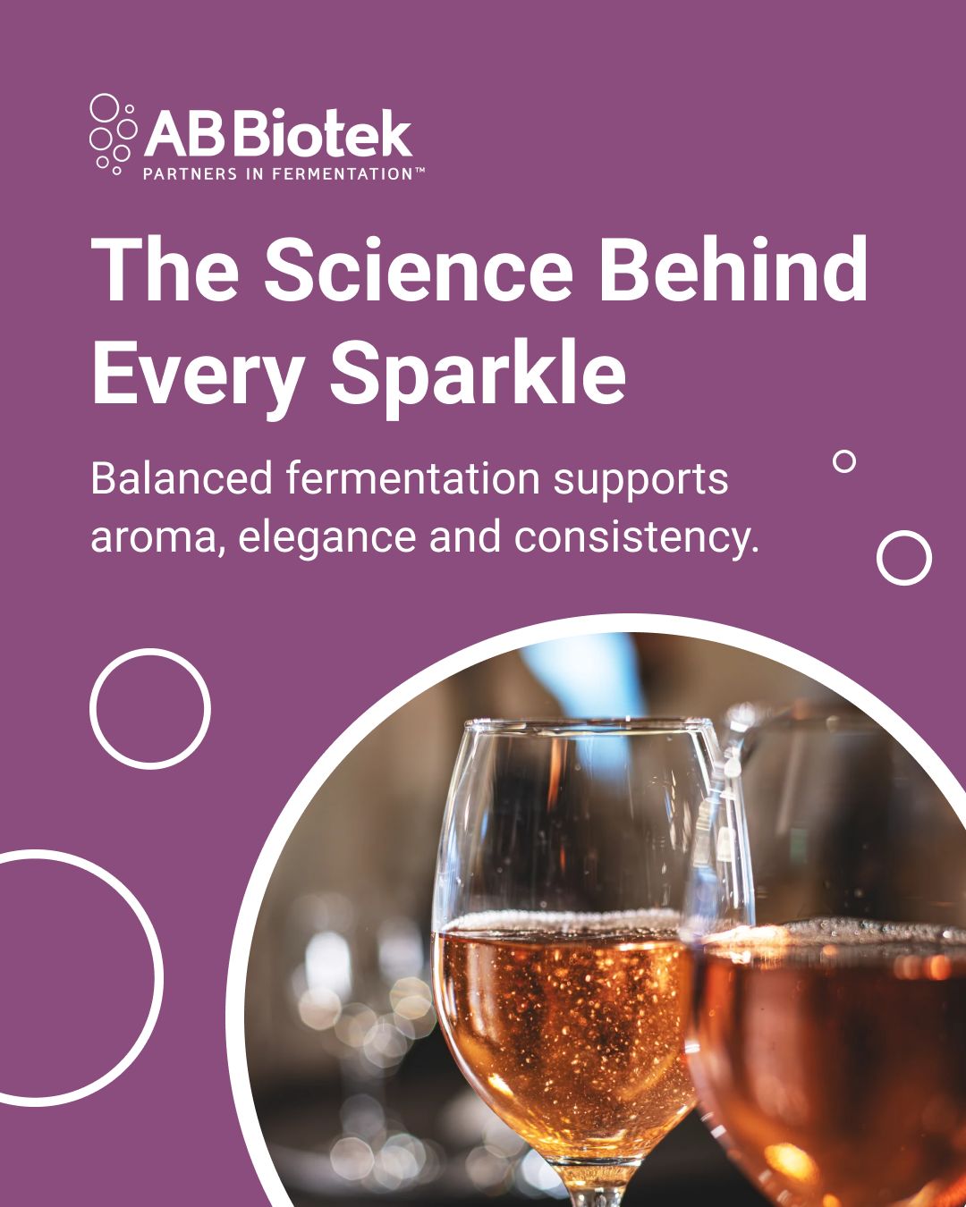 AB Biotek