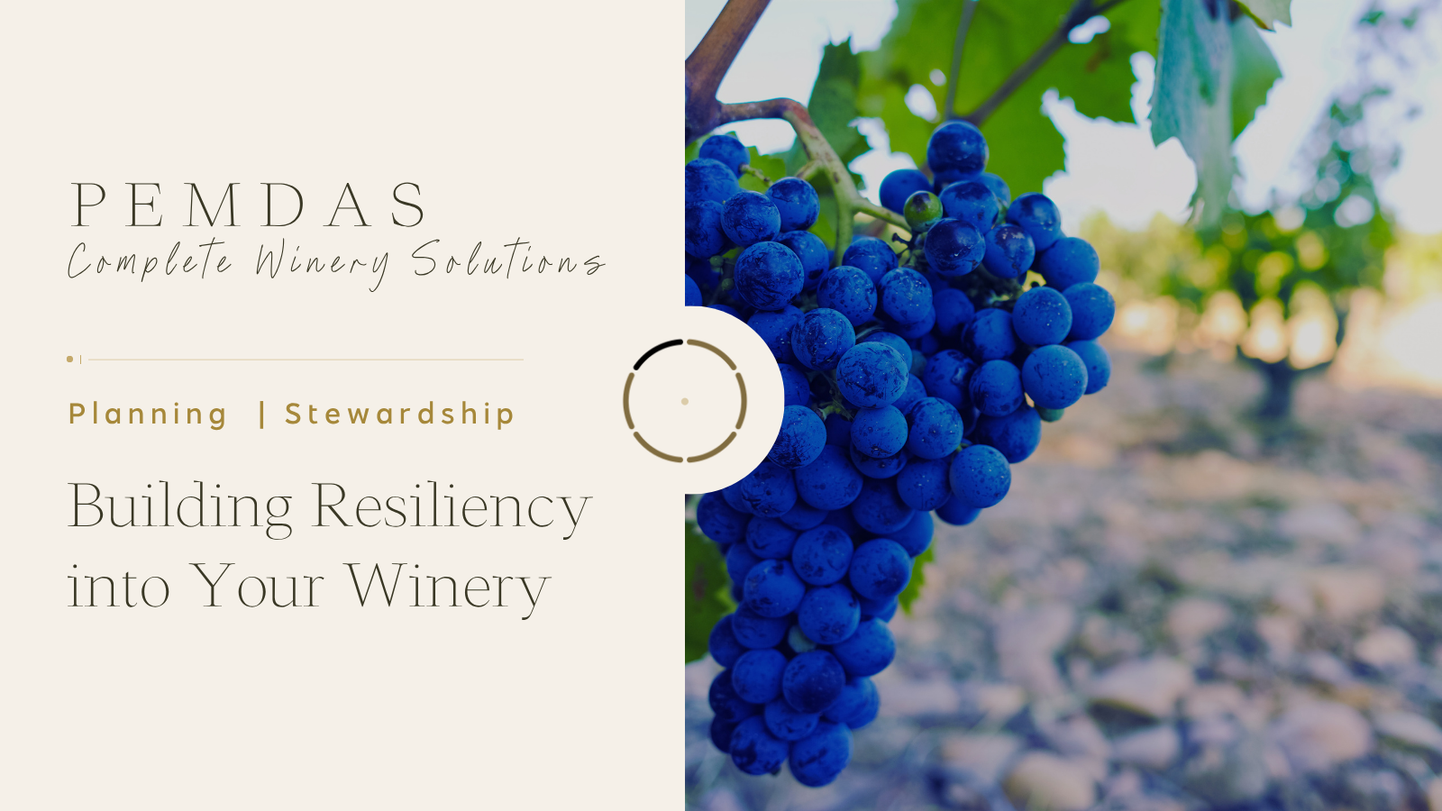 PEMDAS Winery Solutions