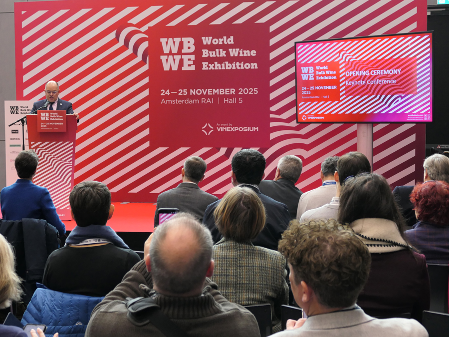 A speaker addressing the audience during a conference session at the 2025 World Bulk Wine Exhibition.