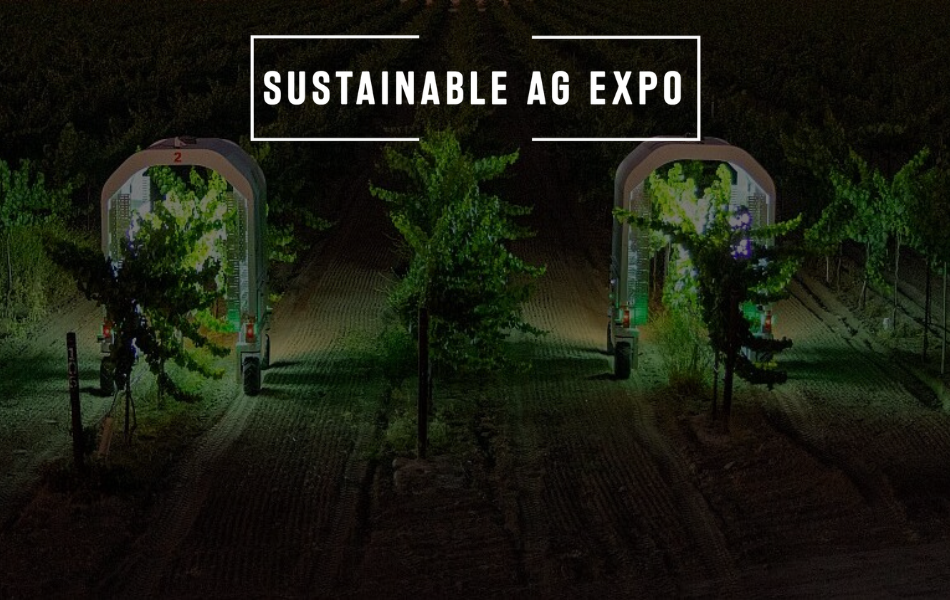 Vineyard Team
