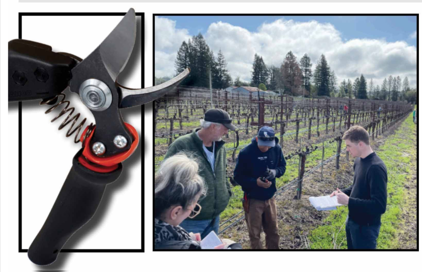 Bahco Pruning