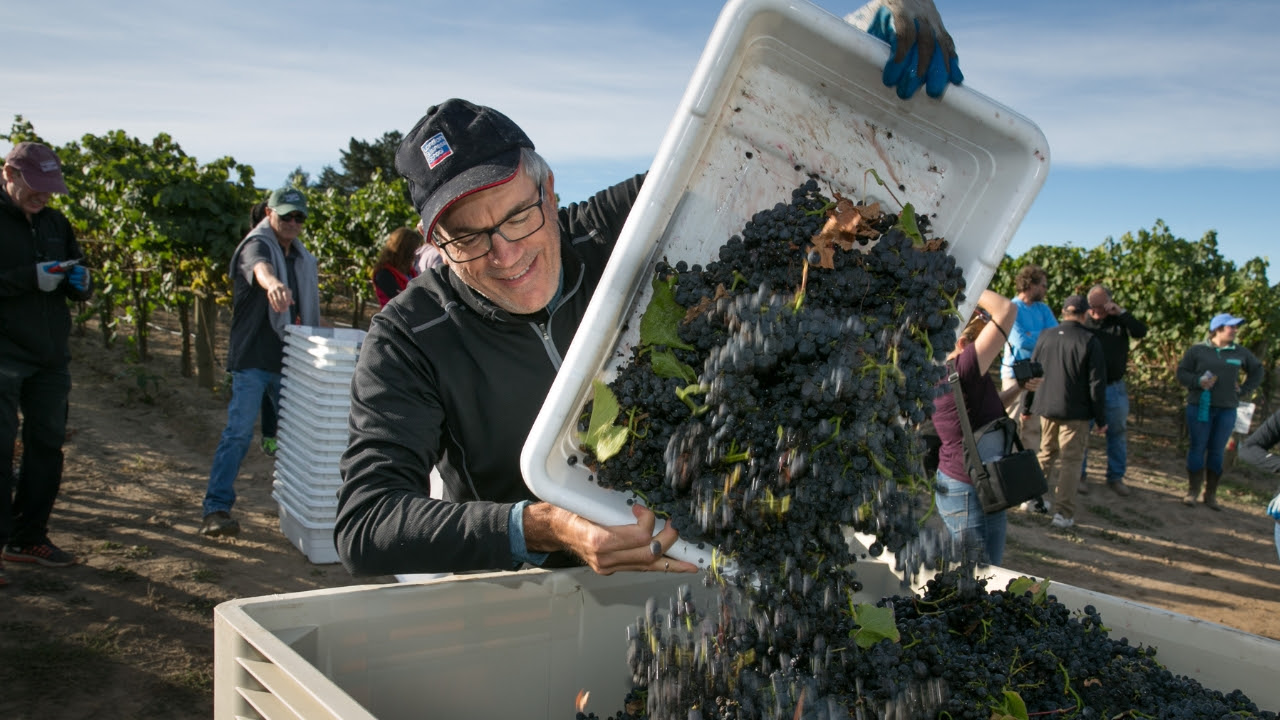 Popular Grape Camp Returns to Sonoma County