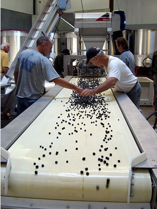 Need a great new home for your wine production?