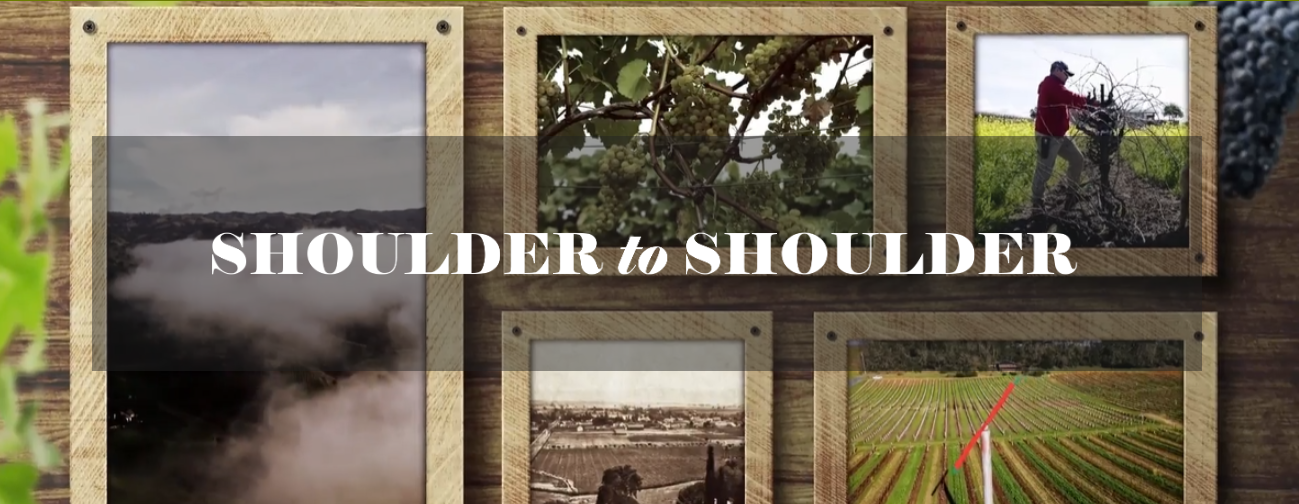New Series "Shoulder to Shoulder" with Emmy Award-Winning Host Amy G.