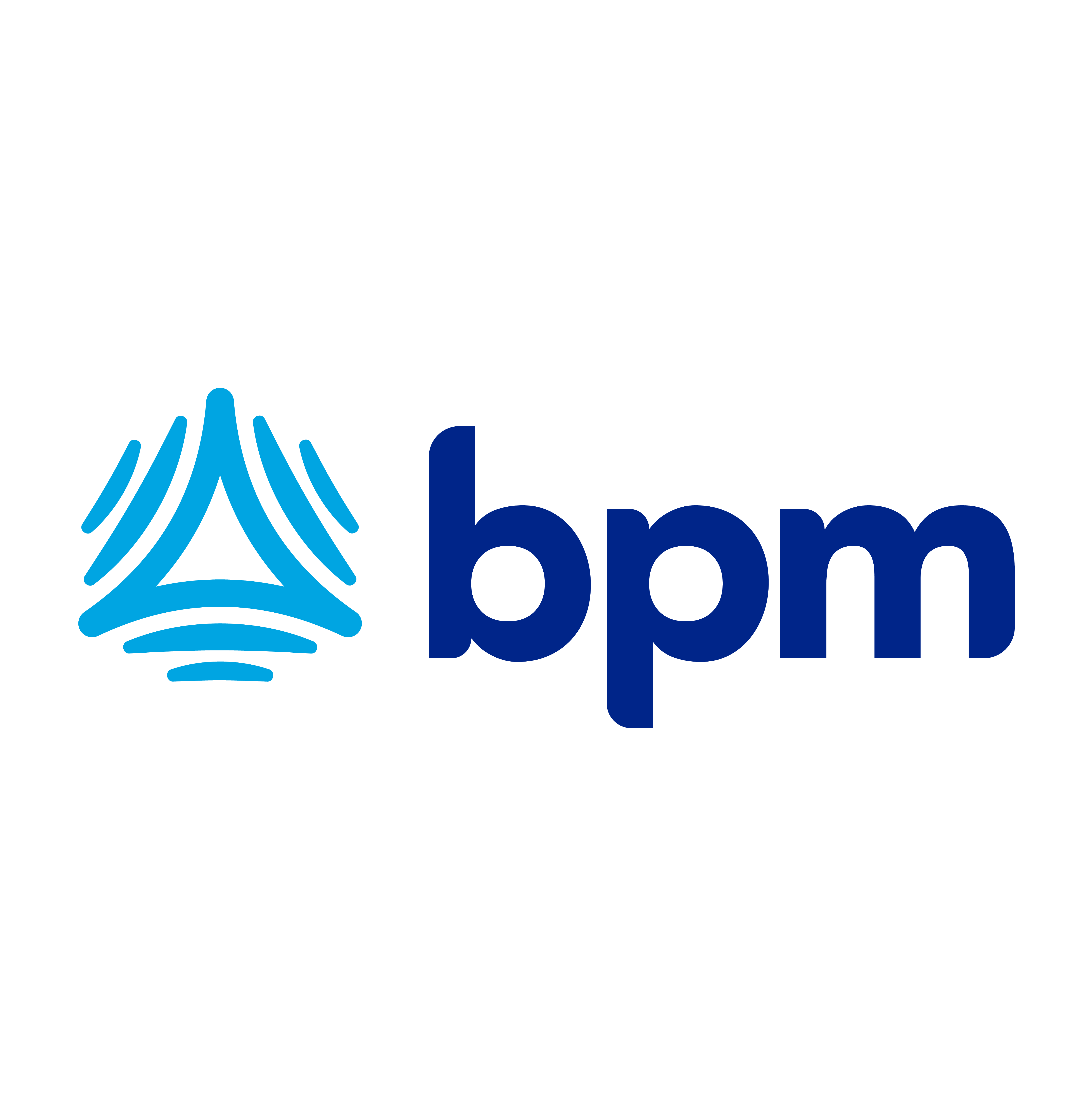 BPM LLP