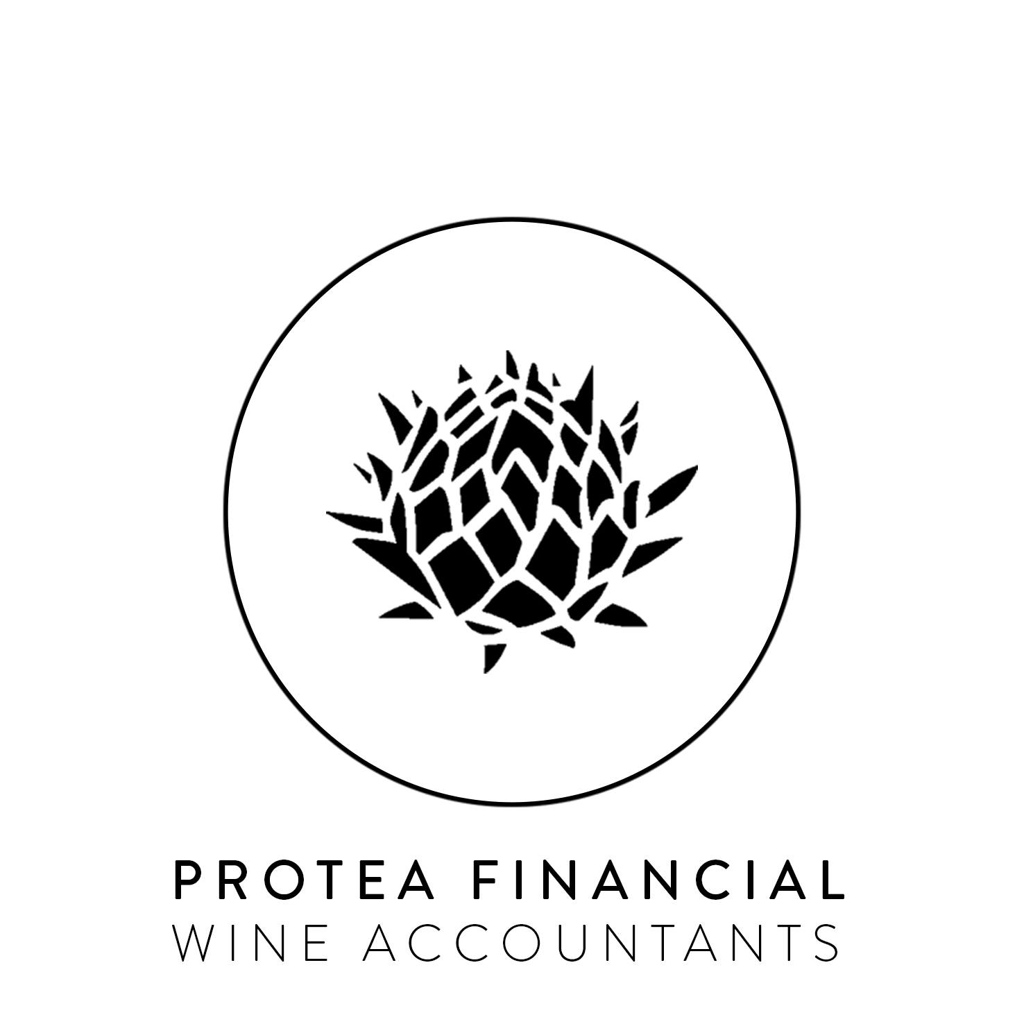 Protea Financial
