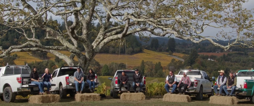 ¡Uno de los Mejores! A Harvest to Celebrate in Sonoma County