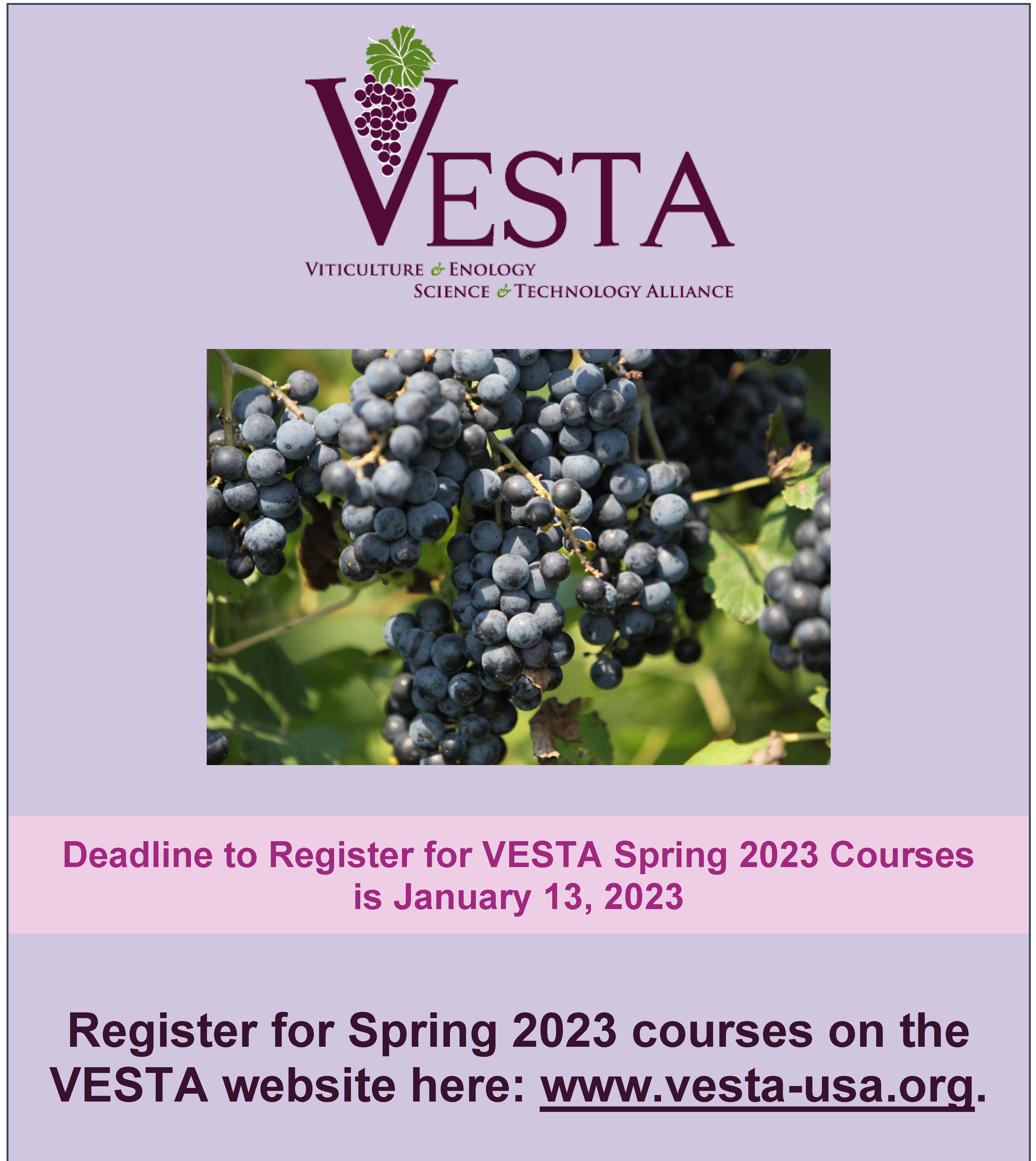 Deadline to Register for Spring VESTA Courses is January 13, 2023