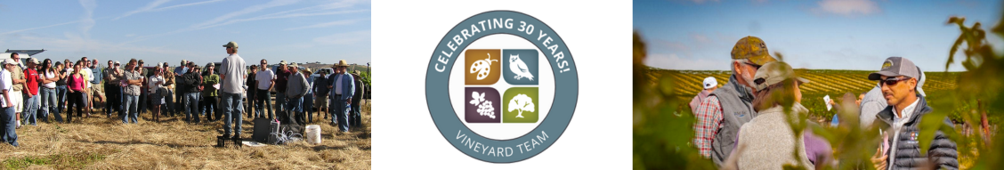 Decades of Dedication: A Special Tribute to Vineyard Team Members