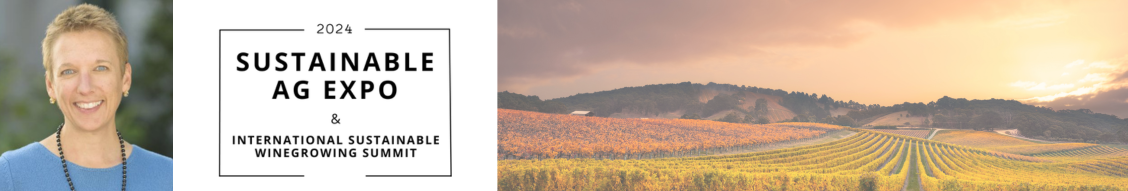 Enhancing Sustainability with Digital Agriculture Solutions