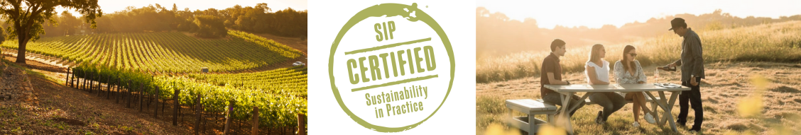 Highlighting Your Sustainable Business Strategies: Social Responsibility