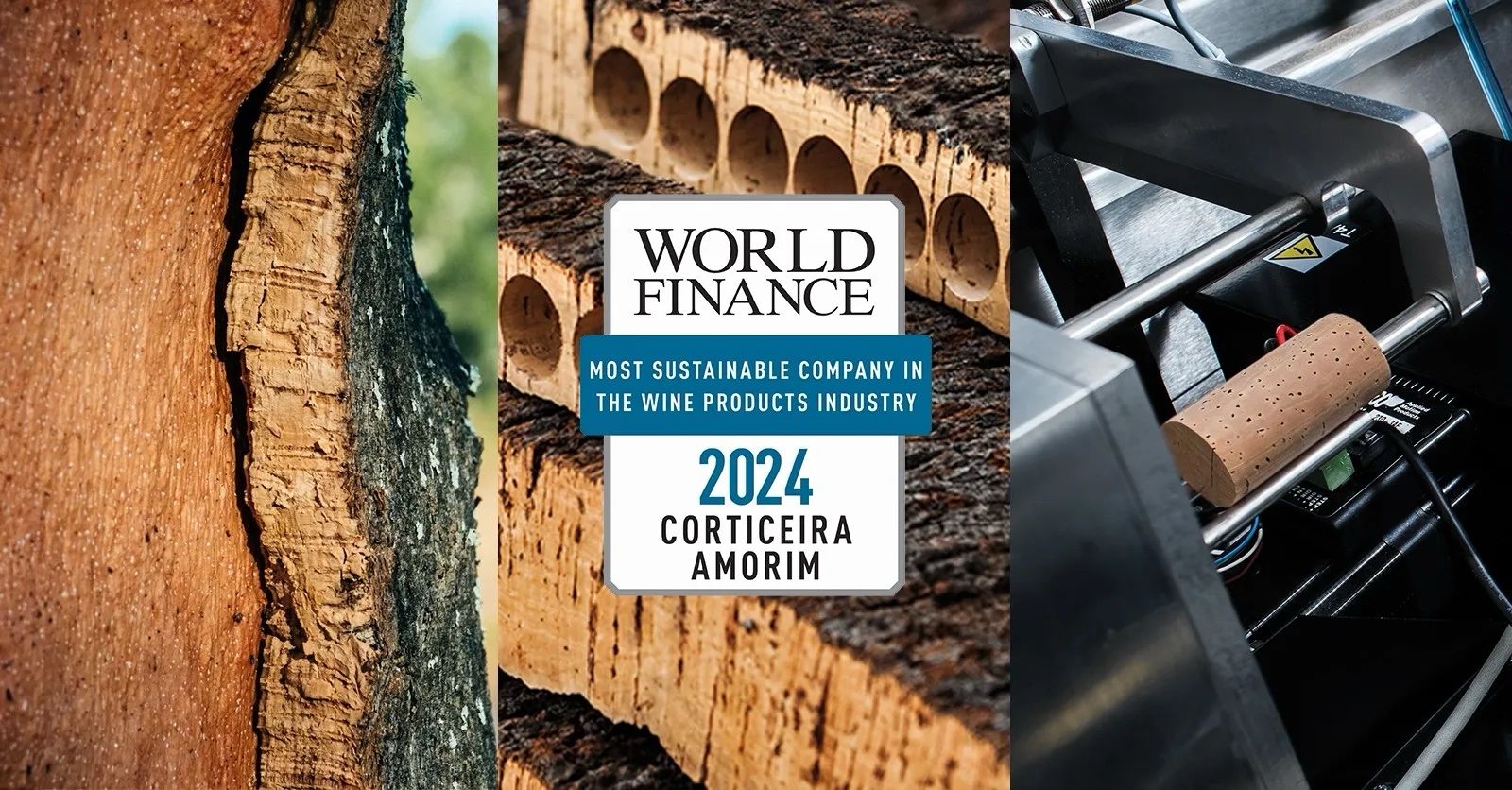 Corticeira Amorim Recognised as the World's Most Sustainable Company in the Wine Sector