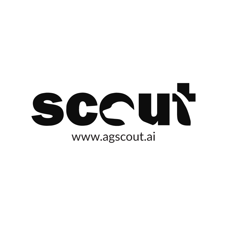 Scout