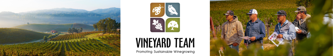 Beneath the Surface: Exploring Dry Farmed Vineyard Success