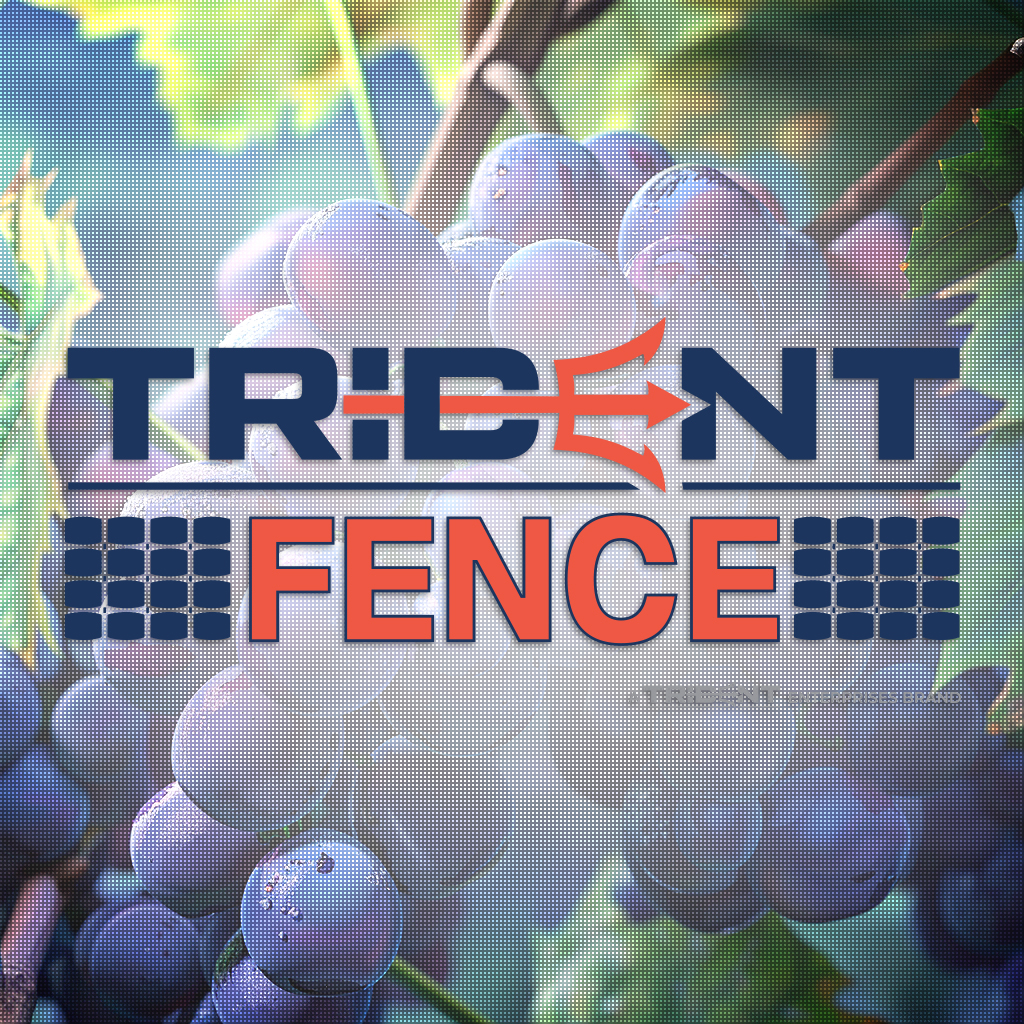 Trident Fence