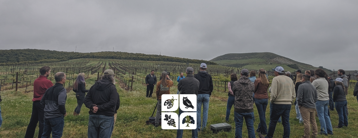 Tailgate | Fungicide Spraying: Evolving Strategies & Grower Insights
