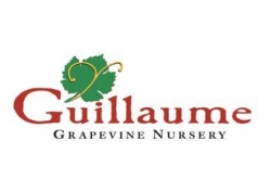 Guillaume Grapevine Nursery Inc.